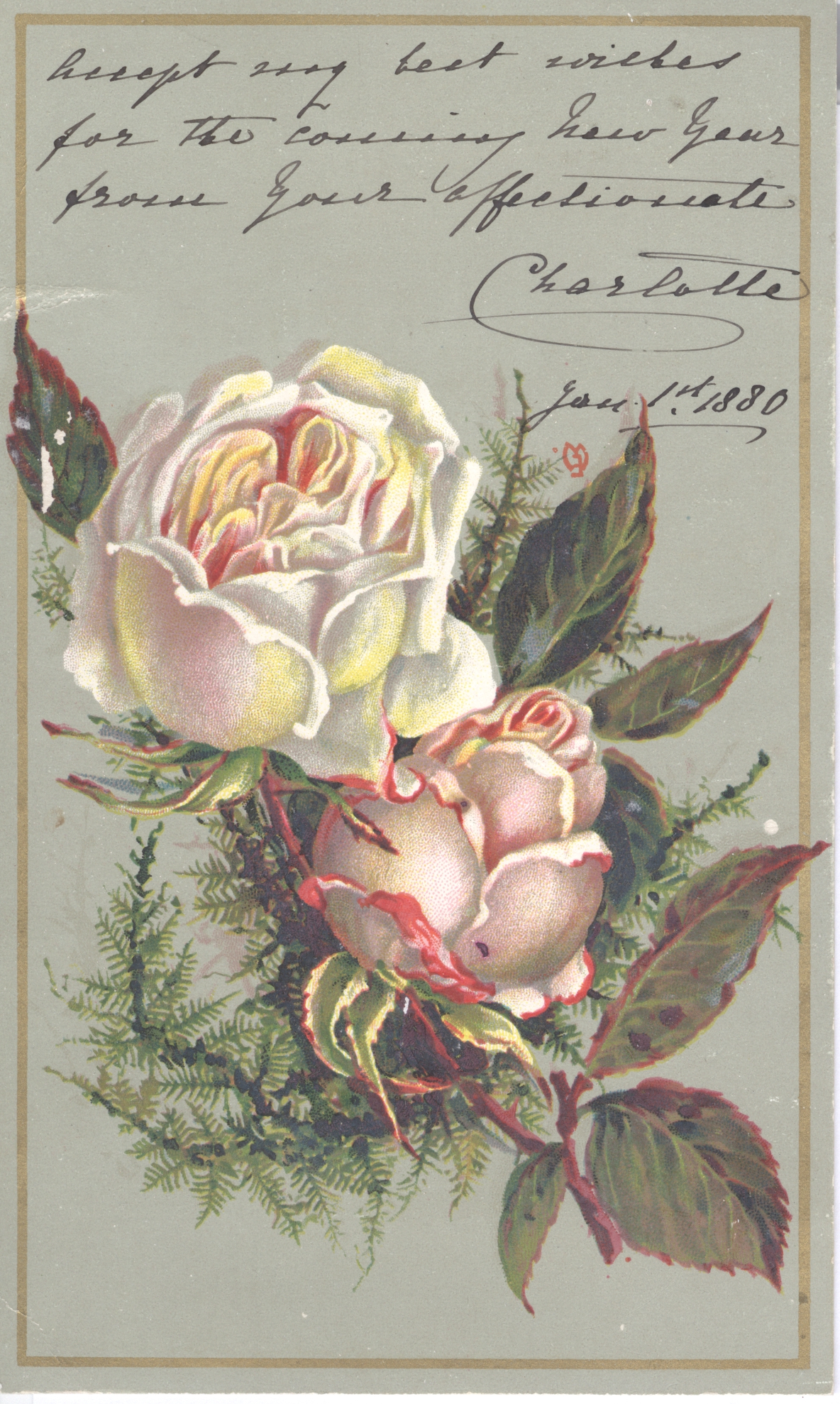 CHARLOTTE-39984-1.jpg