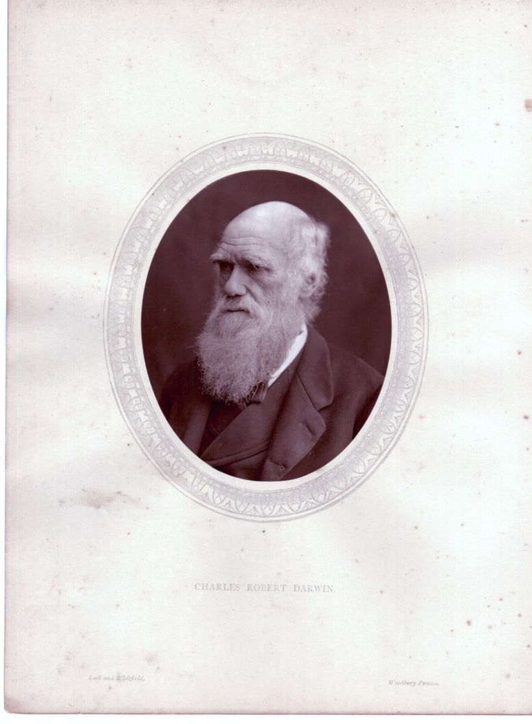 DARWIN-54343-1.jpg