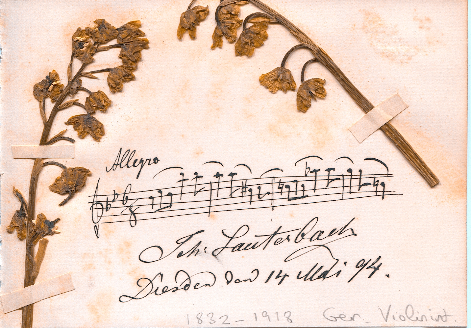 LAUTERBACH-42120-1.jpg