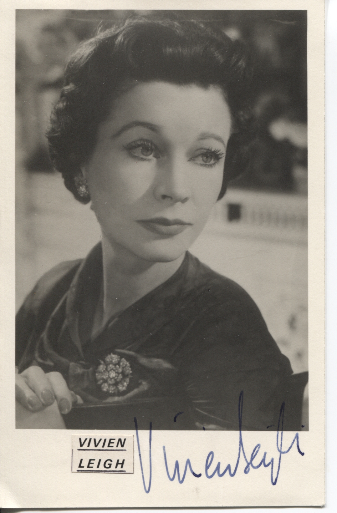 LEIGH-41681-1.jpg