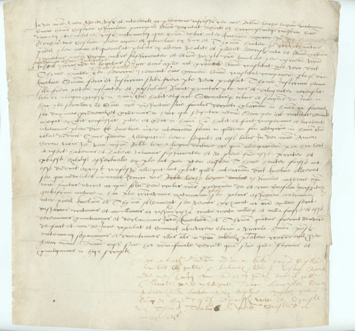 MARCER-17635-1.jpg