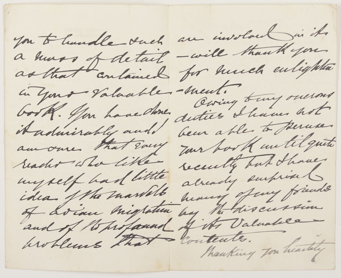RUTHERFORD image 2