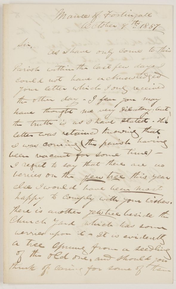 FERGUSSON image 2