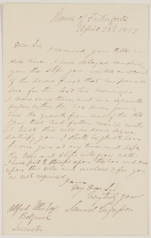 FERGUSSON image 4