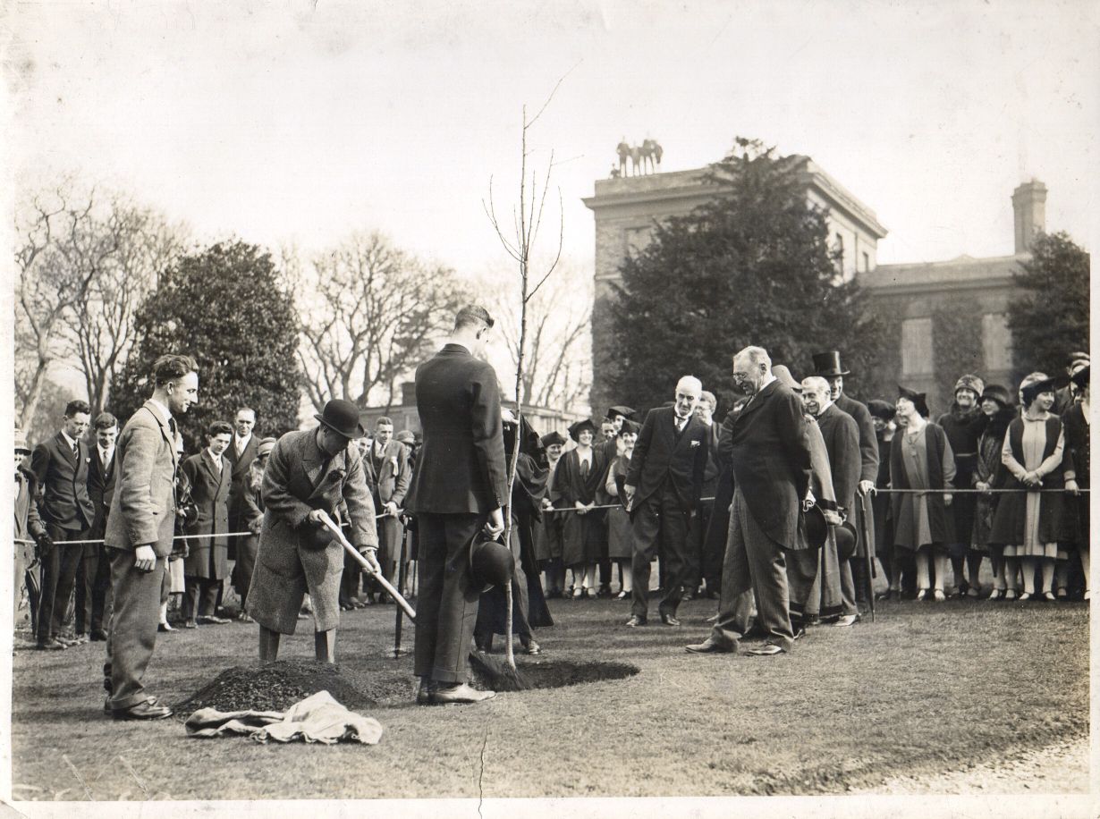 [EDWARD VIII image 2