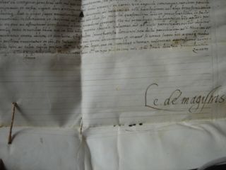 ARCELLA image 3