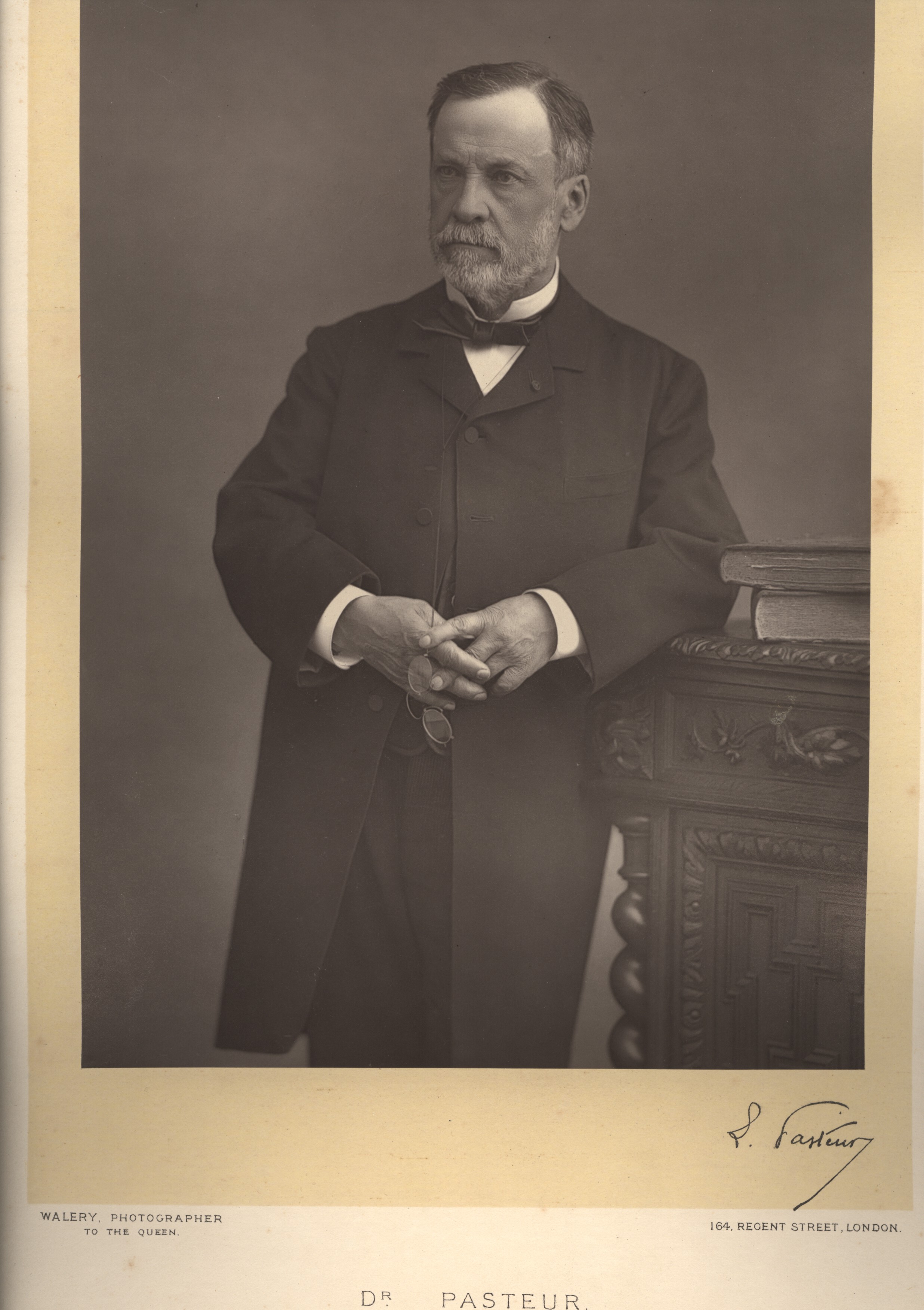 [PASTEUR — Fine woodburytype photo by Walery, | Sophie Dupré Autographs