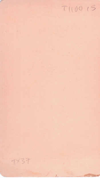 [LIVINGSTONE image 2
