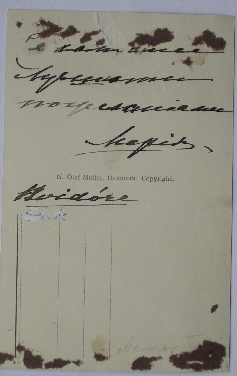 MARIA FEODOROVNA image 2