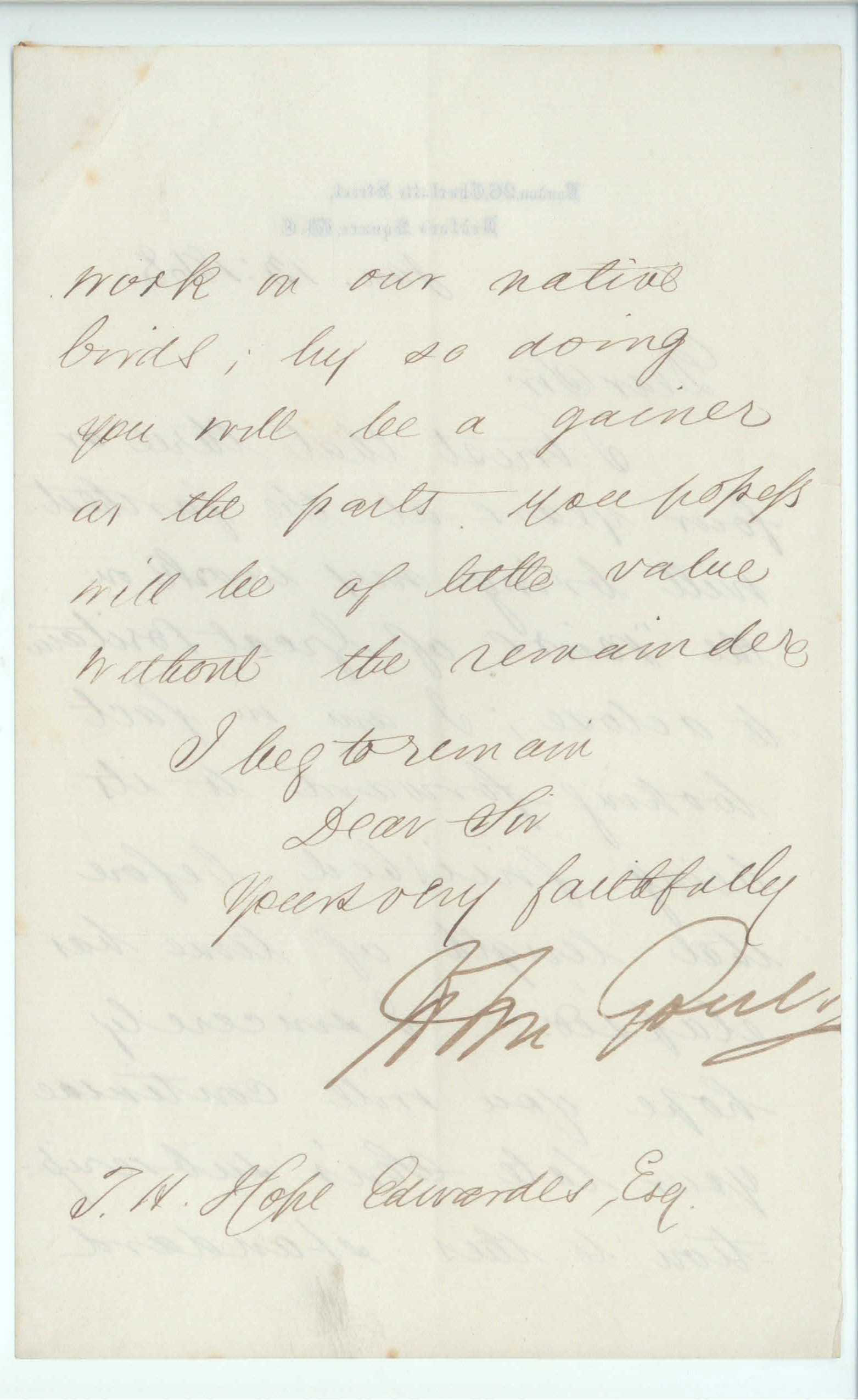 GOULD image 2