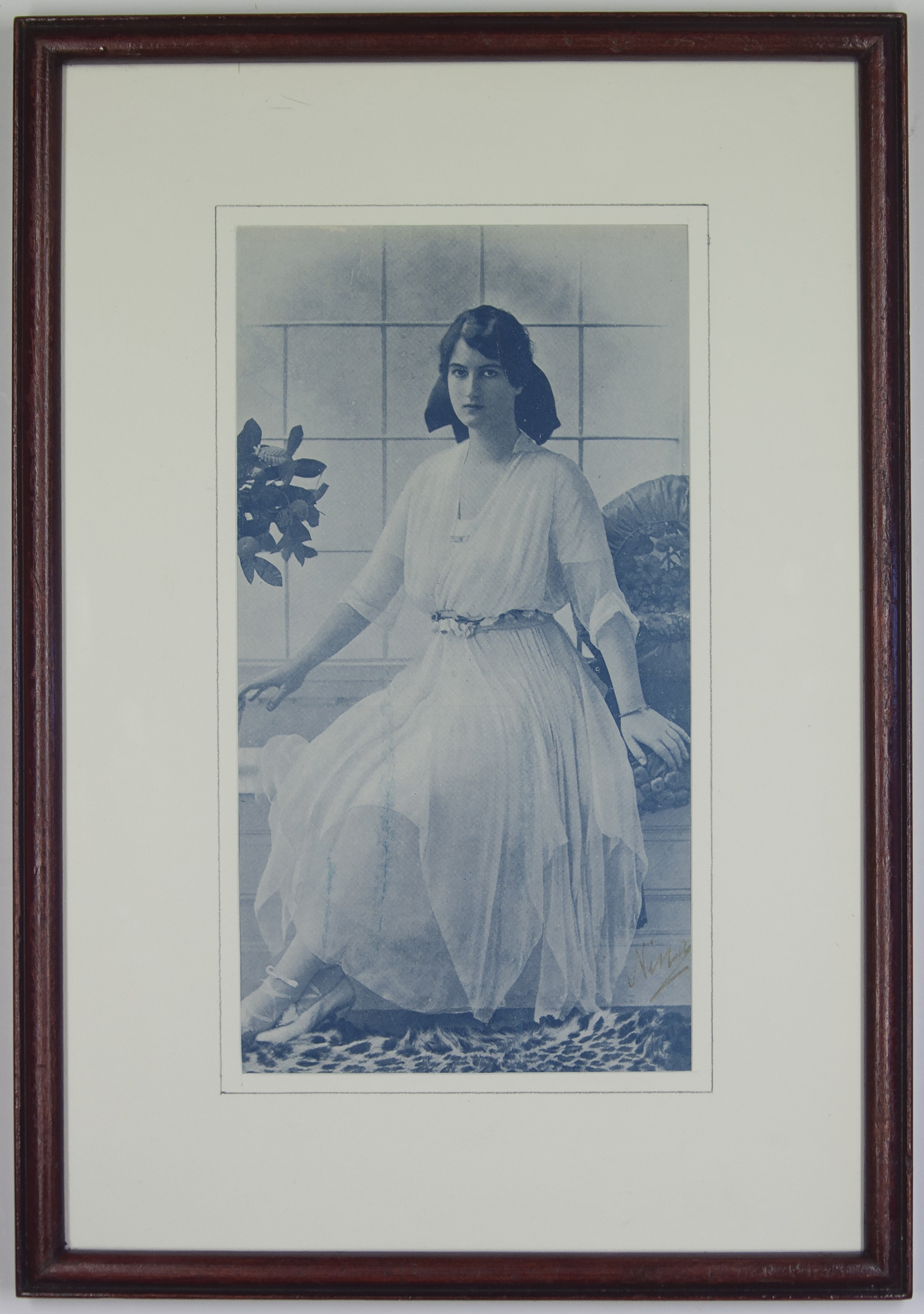 NINA image 2