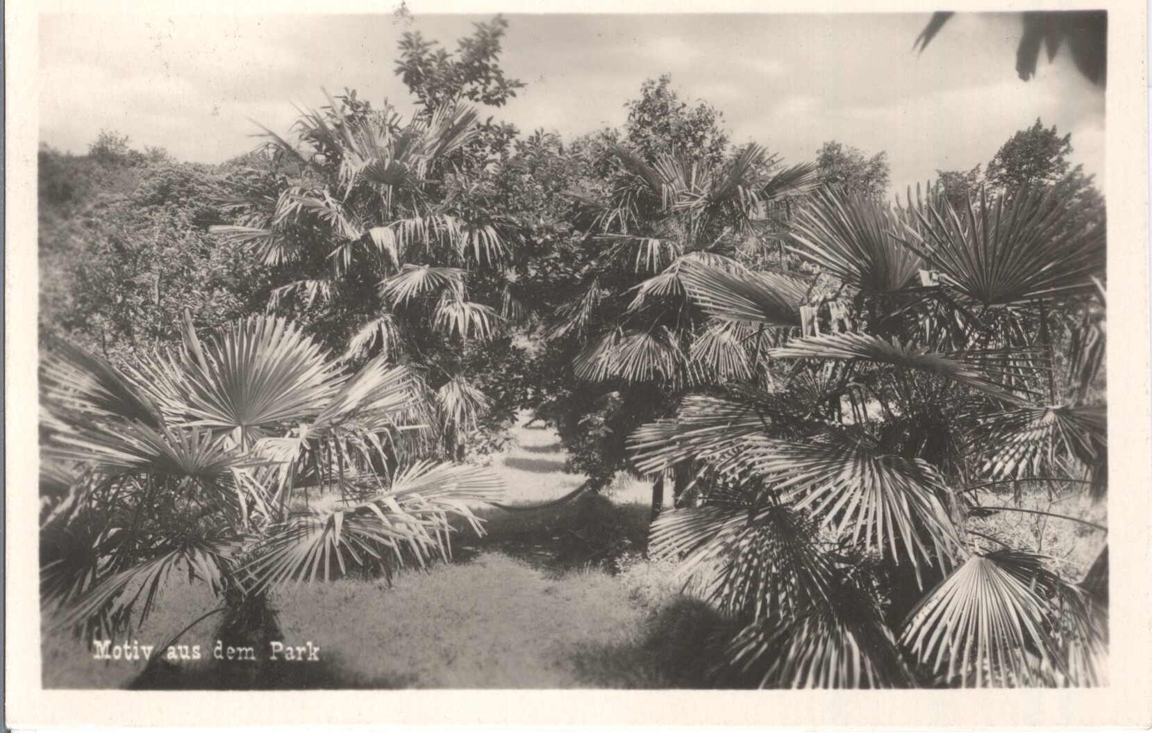KLEIBER image 2