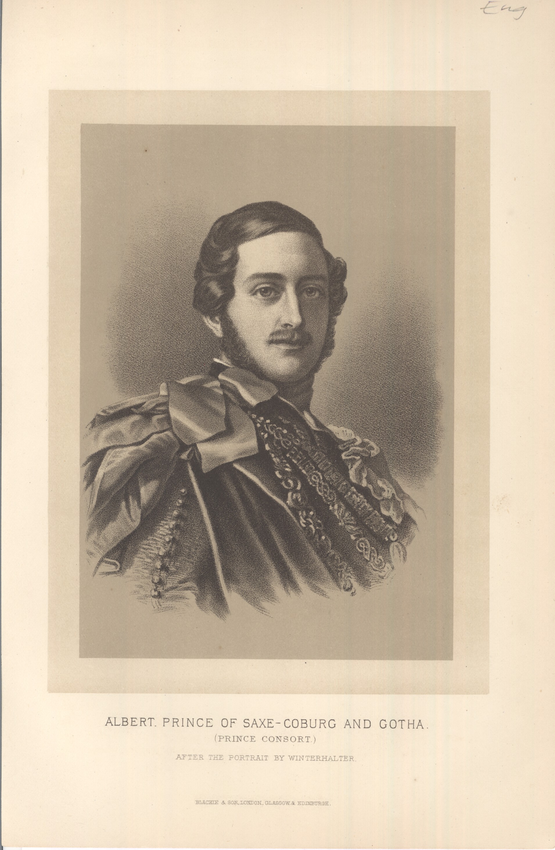 ALBERT image 3