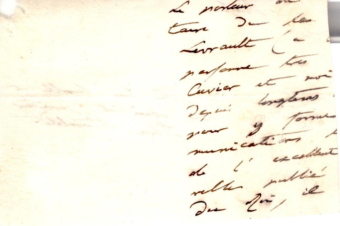 HASTINGS — Fine Document signed | Sophie Dupré Autographs