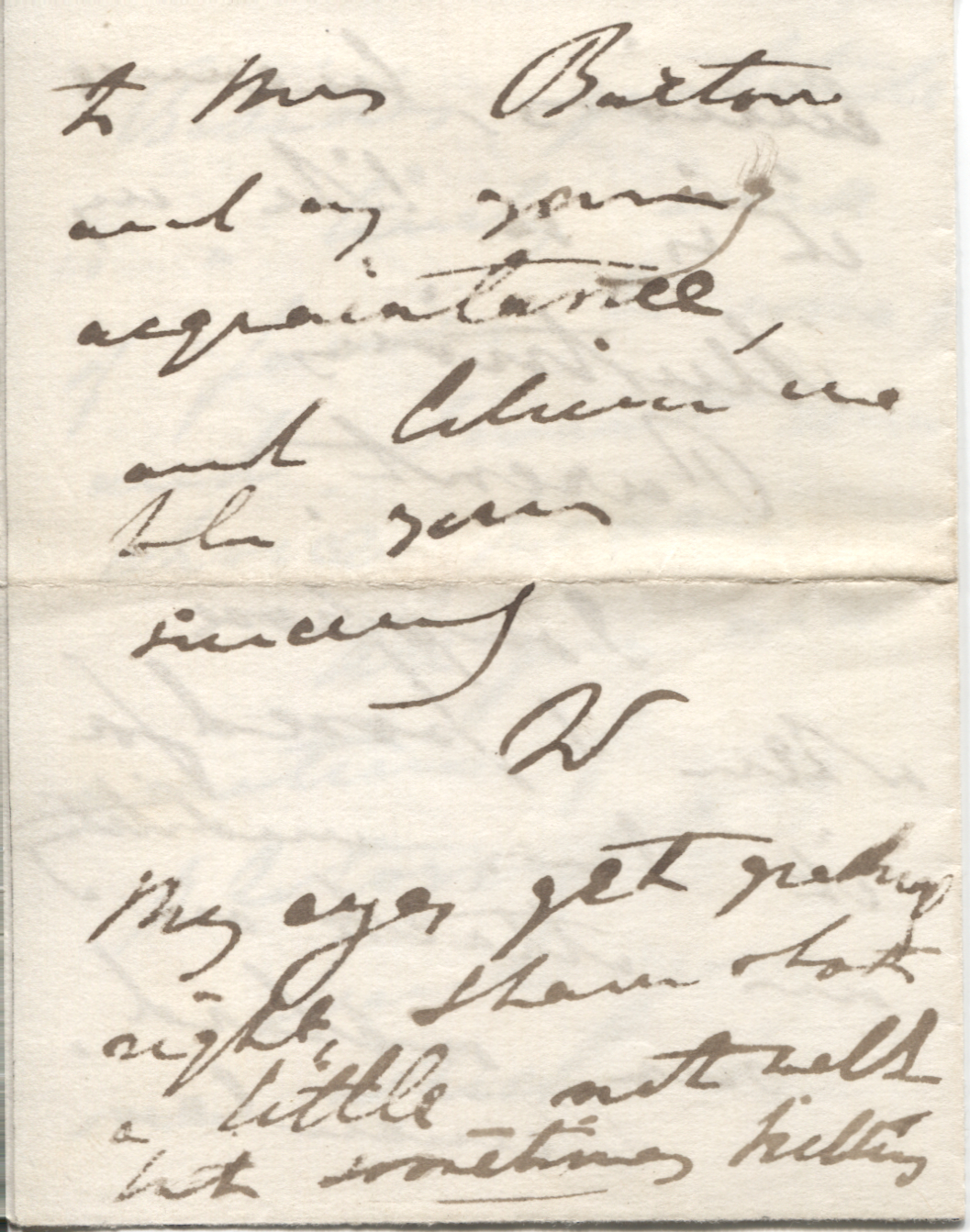 WELLINGTON image 2