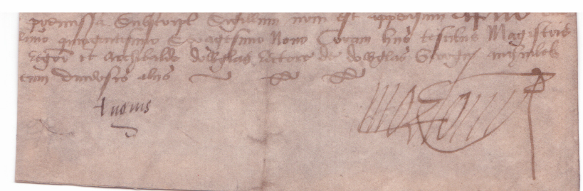 MORTON — Signature from the end of a document in Latin | Sophie Dupré Autographs