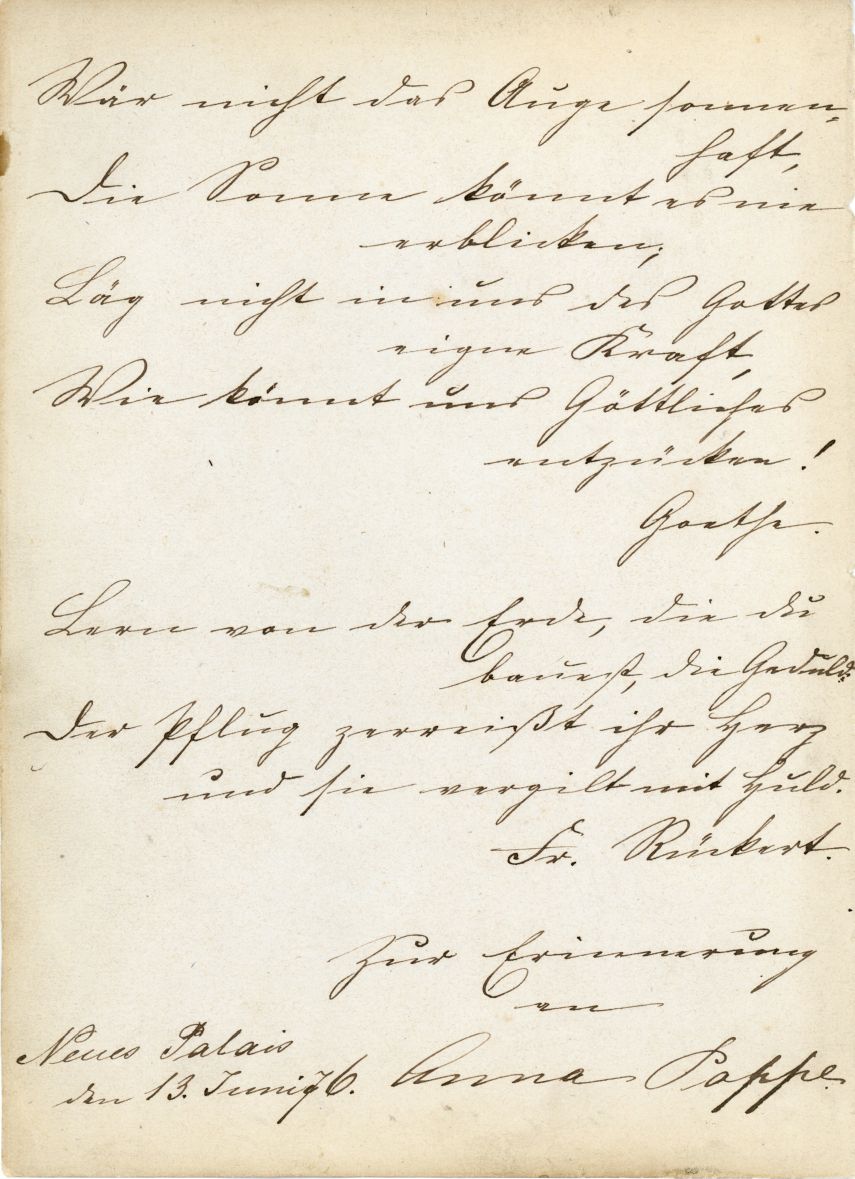 CHARLOTTE image 4
