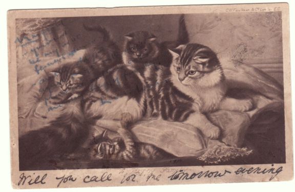 WAIN — Picture Postcard inscribed and signed on the image to 'Margery', | Sophie Dupré Autographs