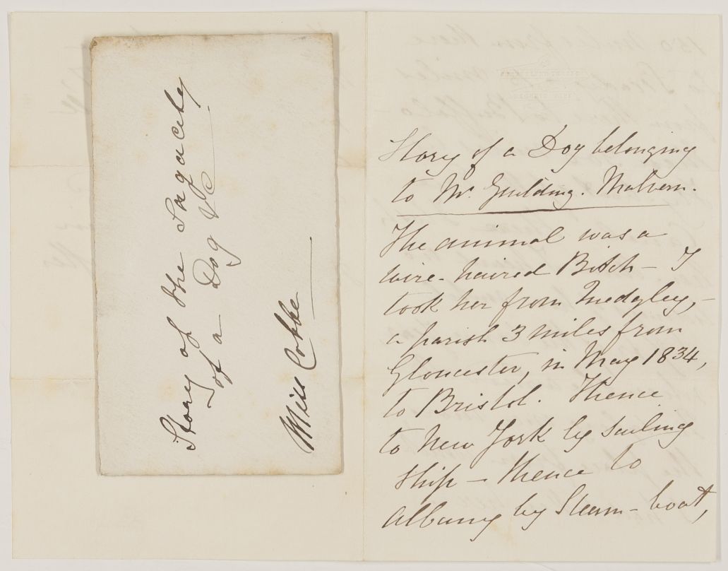 MS account by Mr Goulding of Malvern, apparently in another hand, — Sophie Dupré Autographs