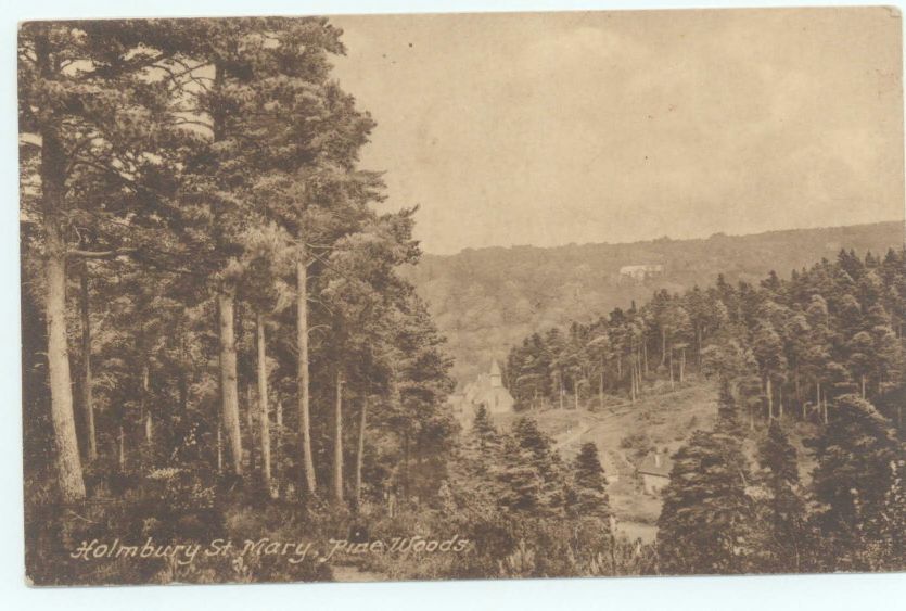 FORSTER image 2