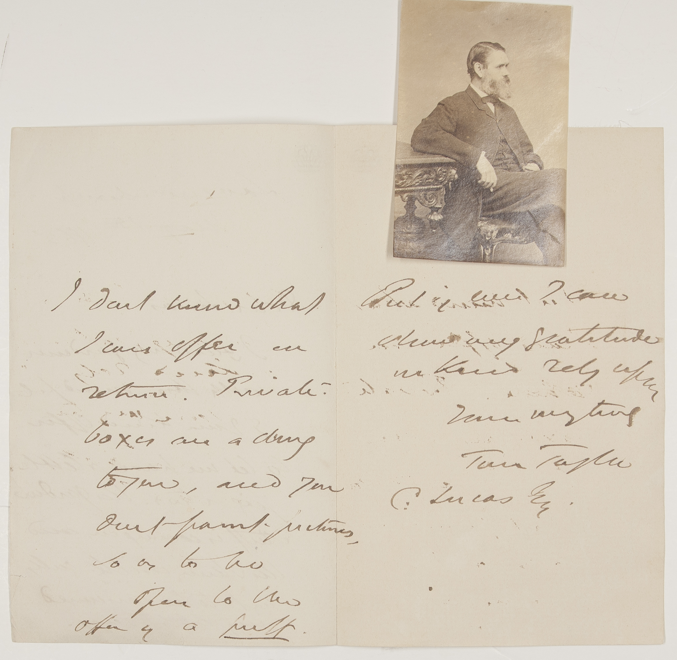 TAYLOR image 2