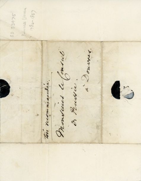 LIEVEN image 2