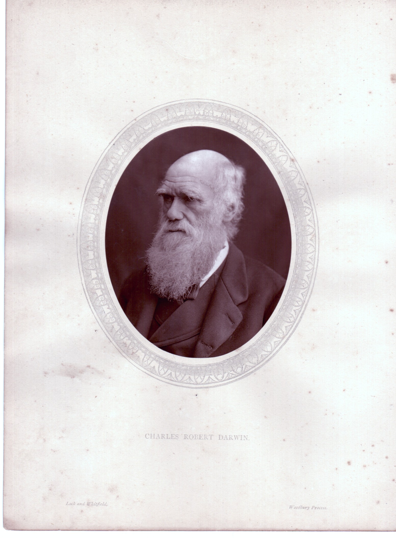 (Charles, 1809-1882, Naturalist, Writer of 'The Origin of Species')] — Sophie Dupré Autographs