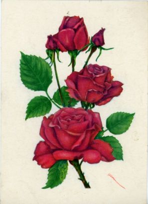 POWELL — Autograph Postcard Signed to George M. Richards of Poole, Dorset, | Sophie Dupré Autographs