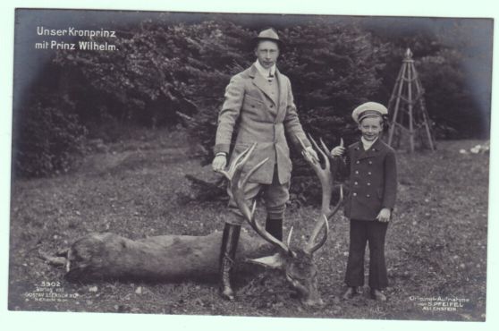 [WILHELM — Unsigned Portrait Postcard Photograph, by S. Pfeifel of Allenstein, | Sophie Dupré Autographs