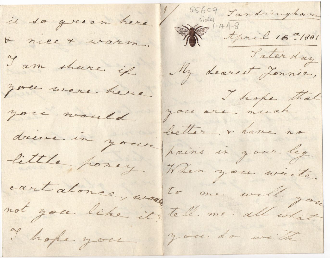 MAUD — Long Early Autograph Letter Signed Harry to My dearest Jonnie, | Sophie Dupré Autographs