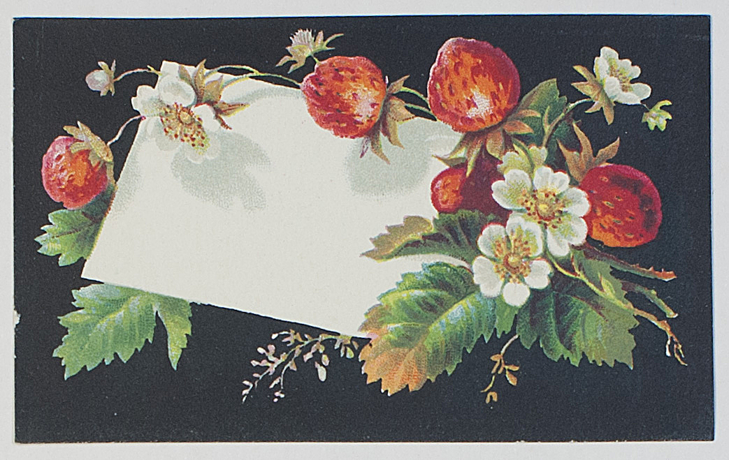 COLOURED CARD LABEL — Beautifully printed label of a spray of Strawberries, | Sophie Dupré Autographs