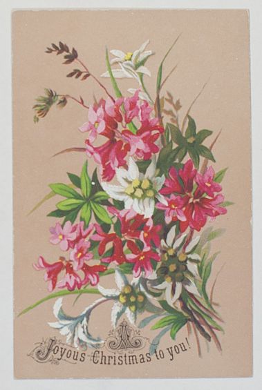 CHRISTMAS CARD — Card printed in full Colour, | Sophie Dupré Autographs