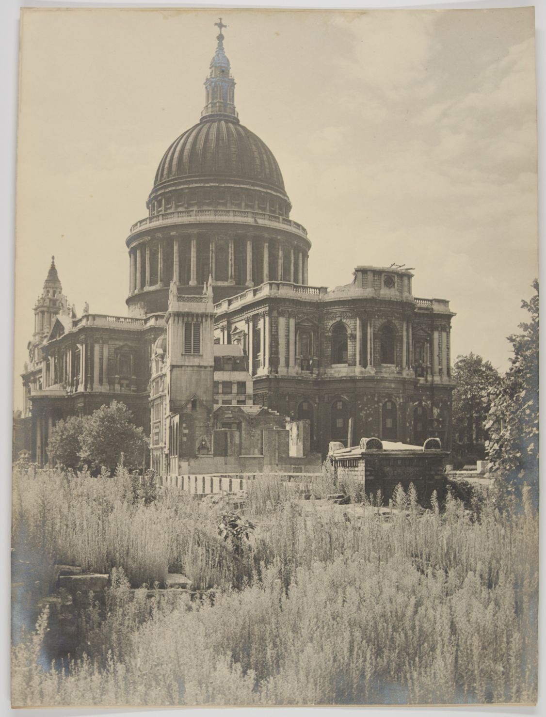 ST. PAUL'S CATHEDRAL — Fine Large Photograph by J. Dixon-Scott, | Sophie Dupré Autographs