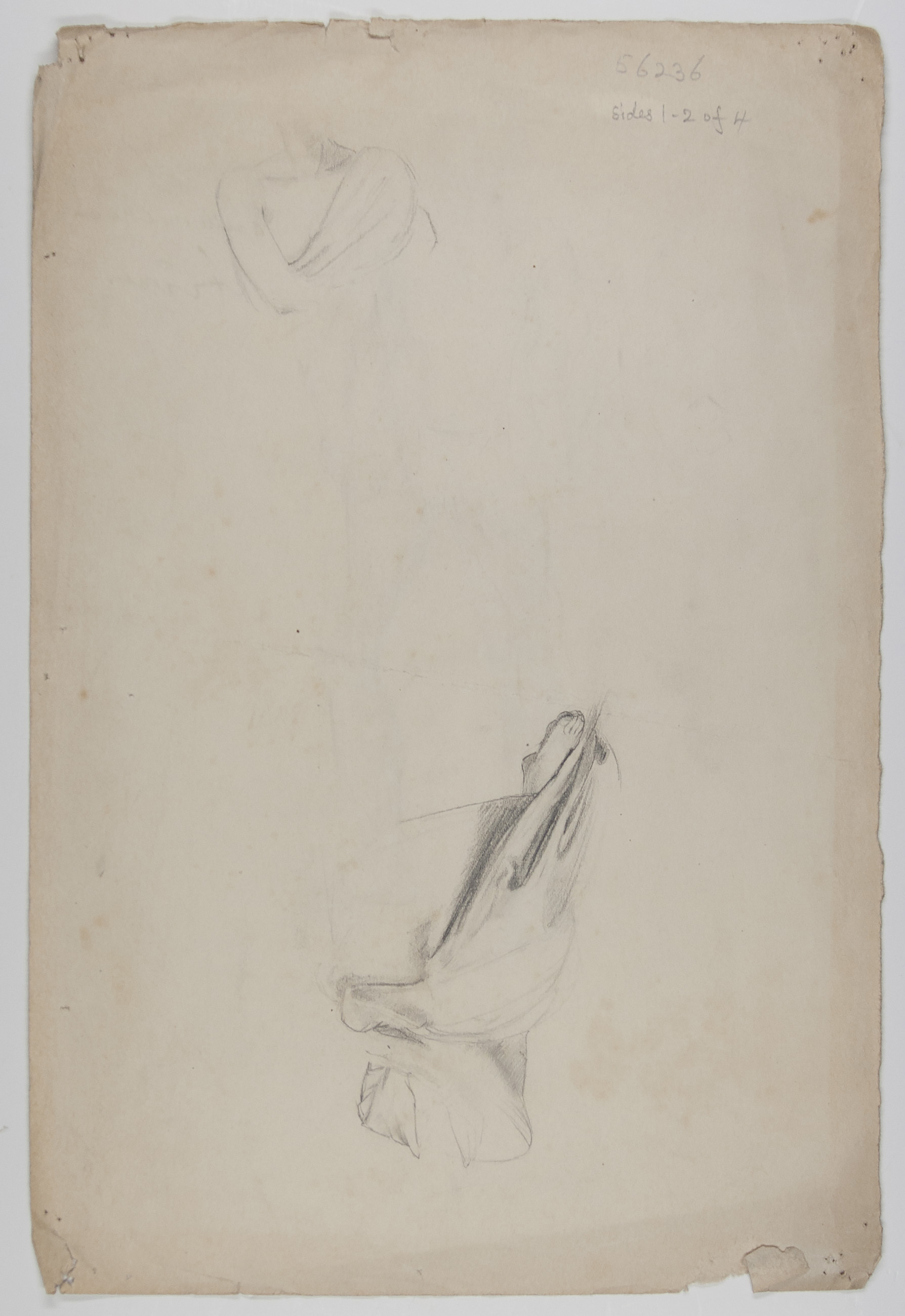 ALLEN image 4